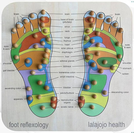 A foot massager and reflexology tool