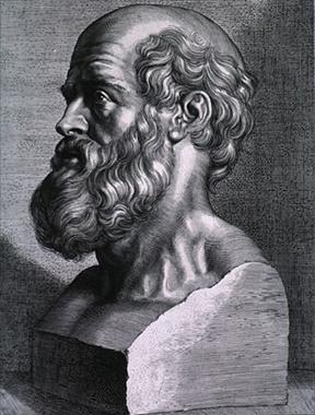 Hippocrates rubens.jpg