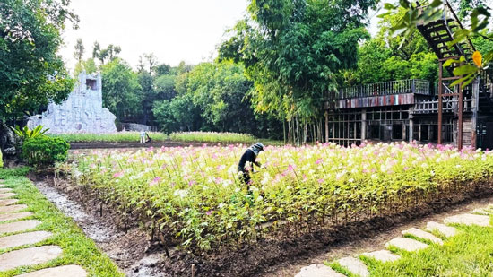 Angle’s Park Flower Beds