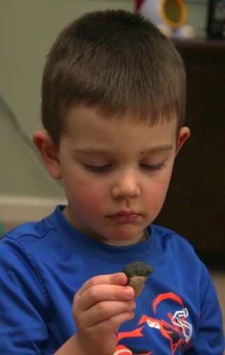 Jack looking at the fossil