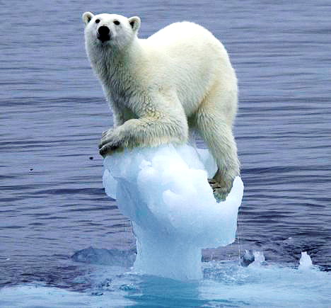 Paul on his iceberg