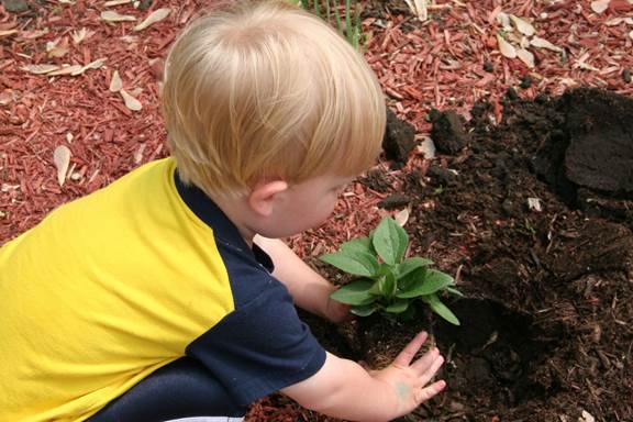 Owen planting
