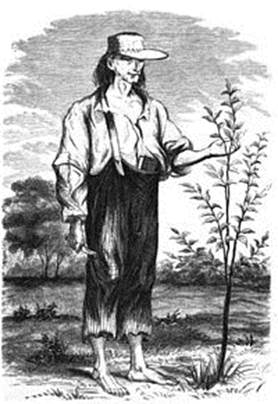 Johnny Appleseed caring for a young apple tree