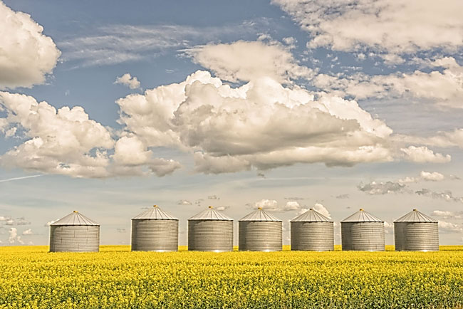 Information silos