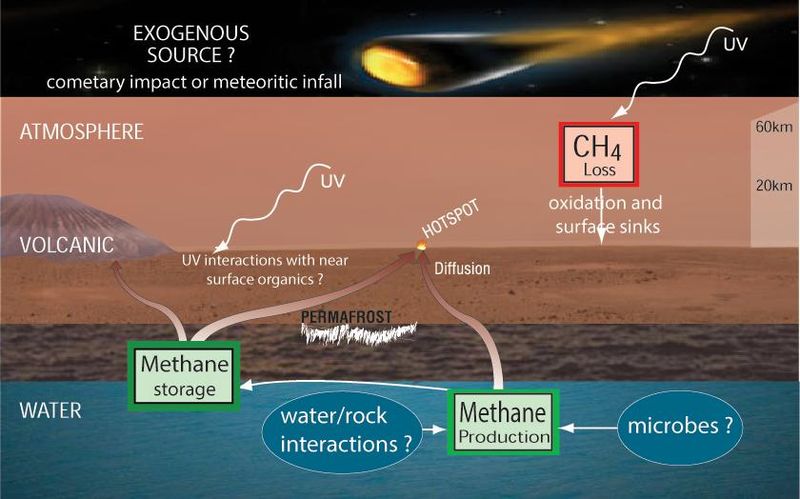 The exogenous source of life from Mars