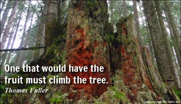 Fuller's observation about climbing