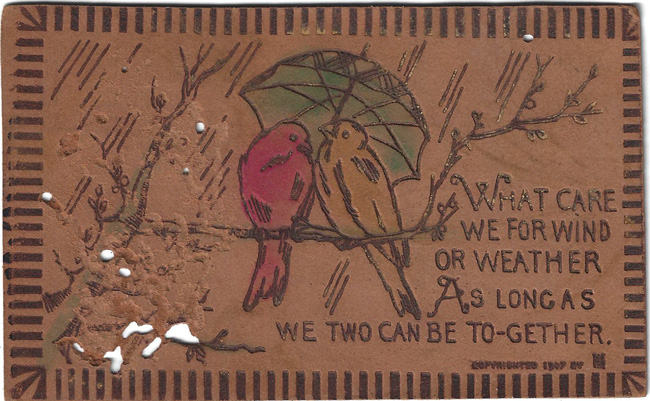 Birds Postcard