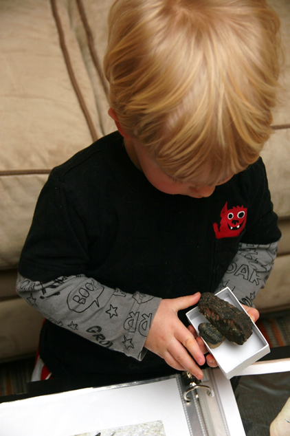 Owen looking at the fossilized dung