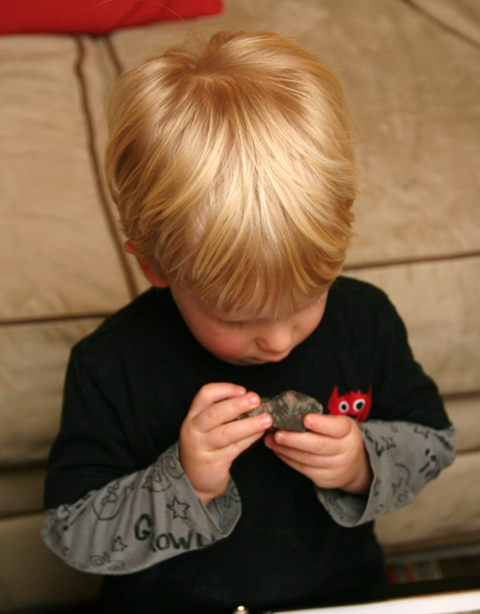 Owen examining a fossil