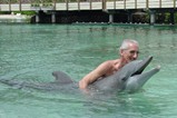 Moorea - dolphin